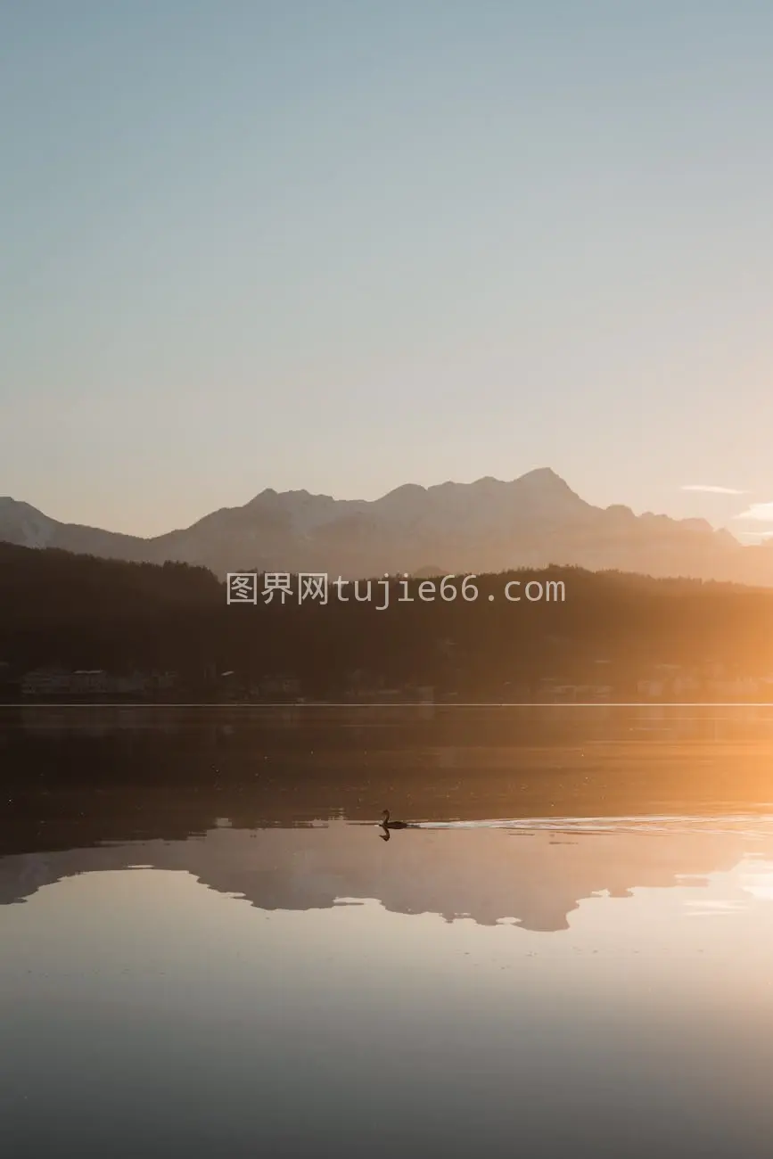 宁静湖面天鹅映山影日出美景图片