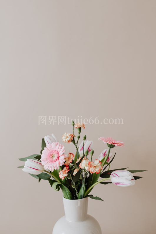 白瓷瓶雅致花卉组合