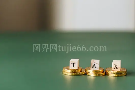 金币木块拼出绿色背景'TAX'
