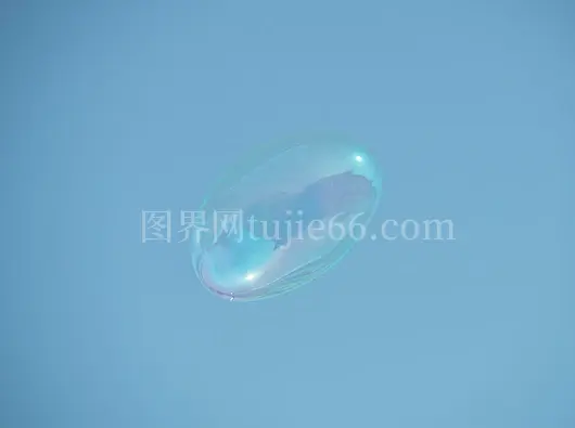 晴空下肥皂泡飘舞