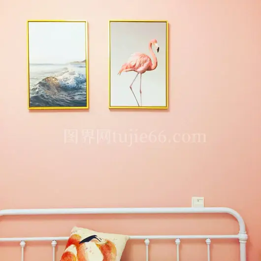 棕色边框火烈鸟插画墙饰
