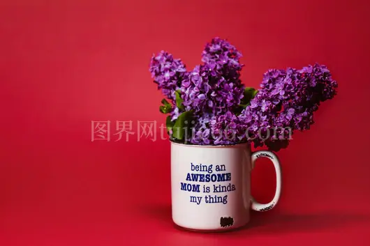 紫色丁香花杯母亲节佳选