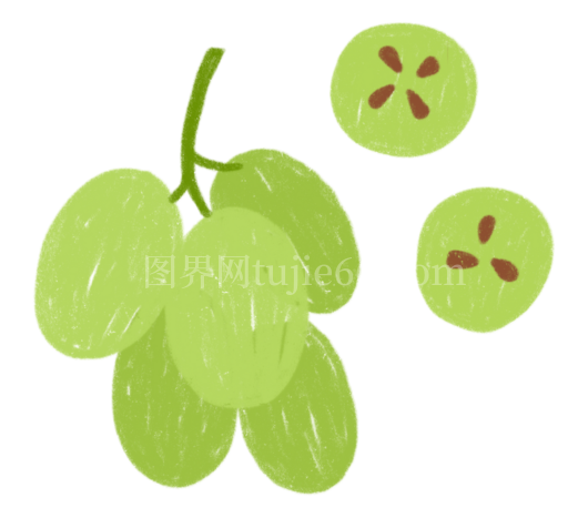 绿色葡萄浆果新鲜农产品展示