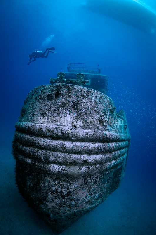 深海潜水员探秘沉船海洋生物环绕