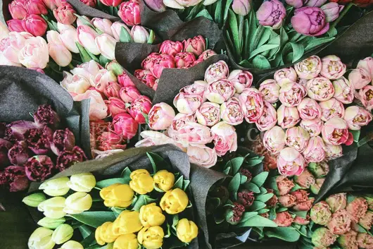 多彩郁金香花束盛放