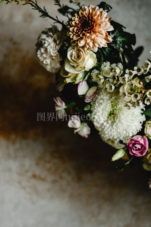 静物花卉构图：菊花玫瑰康乃馨