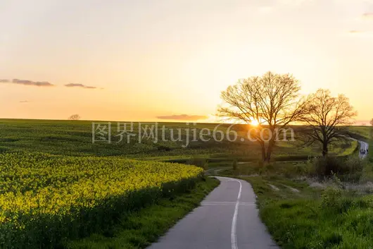 夕阳映照绿色田野景色