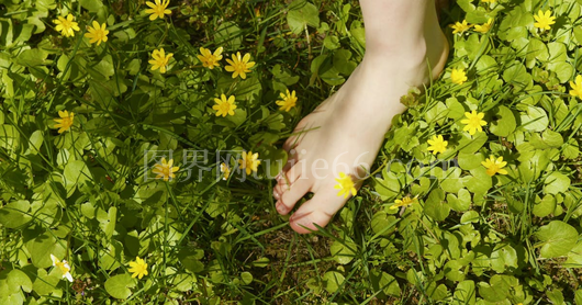 赤脚人特写踩植物