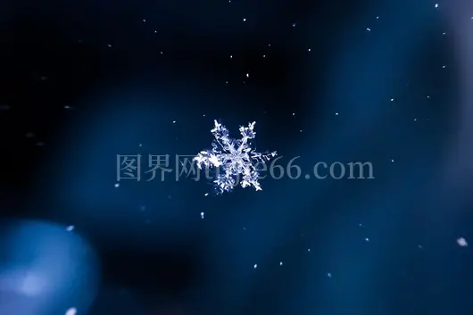 雪花艺术插画作品展示