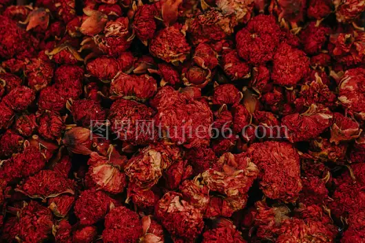 干红花朵纹理特写丰富多样