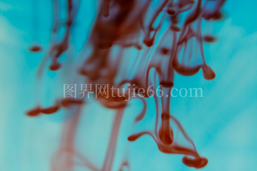 内容摘要概览