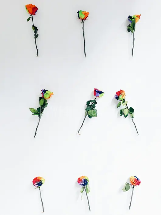 多彩花瓣花束集锦
