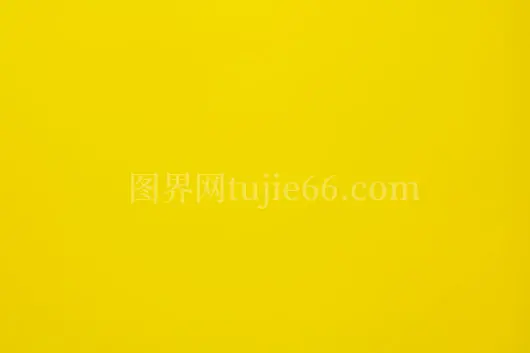 黄白色彩插画艺术