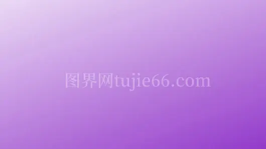 紫色粉色插画色调呈现