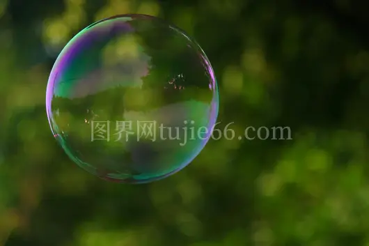 公园彩色肥皂泡自然映照模糊绿背景