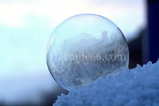 雪上霜泡冬魔魅