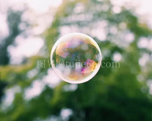 肥皂泡近景树木映衬