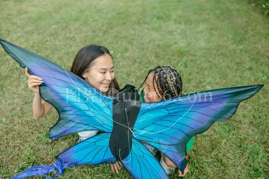 孩子户外蝴蝶风筝阳光乐享