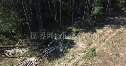 空中重型设备砍伐树木瞬间