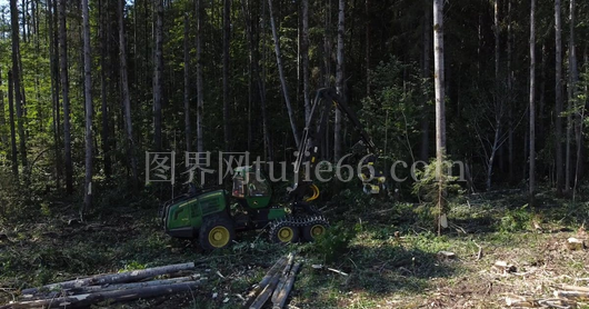 无人机拍摄重型设备砍伐树木瞬间