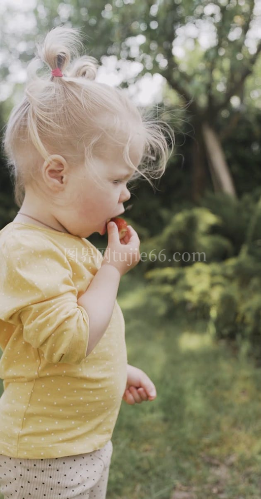 孩子草莓美味时刻视频展示