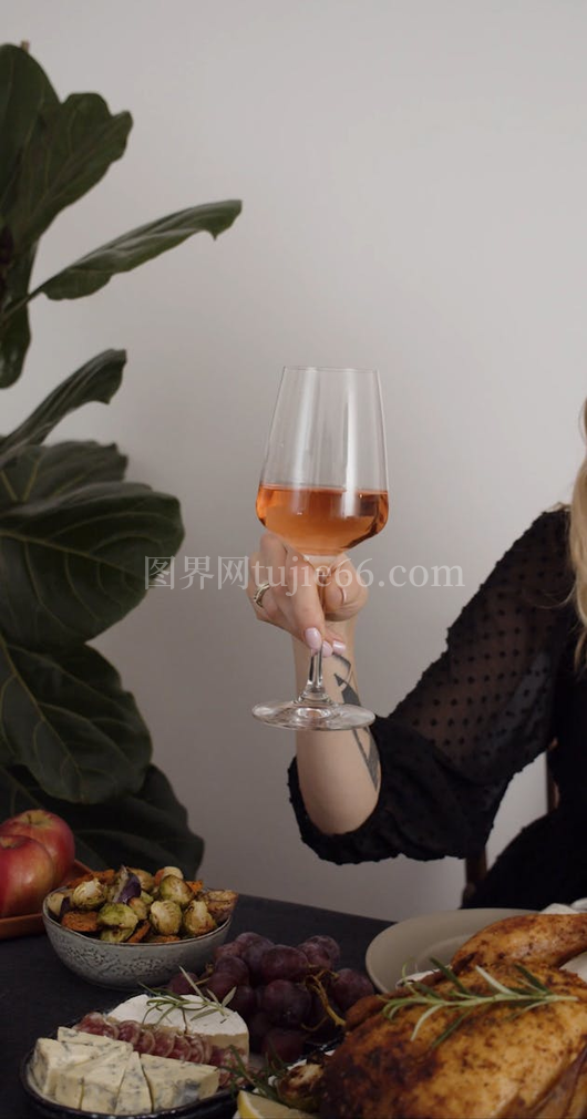 女性优雅持酒杯画面