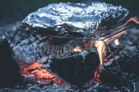 锡纸烧烤户外烹饪佳选