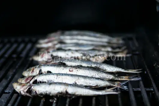 鲑鱼烤制健康海鲜佳选
