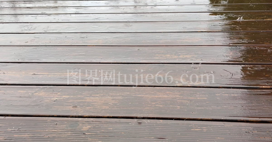 雨中自然景象美不胜收