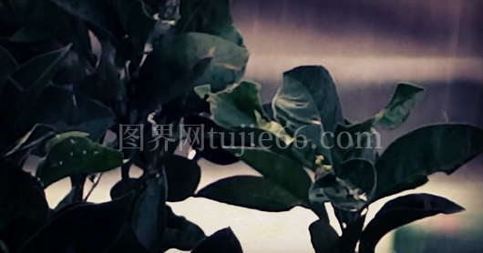 雨中景色美不胜收天气状况