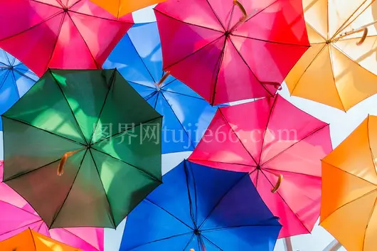 多彩雨伞绽放多样色彩