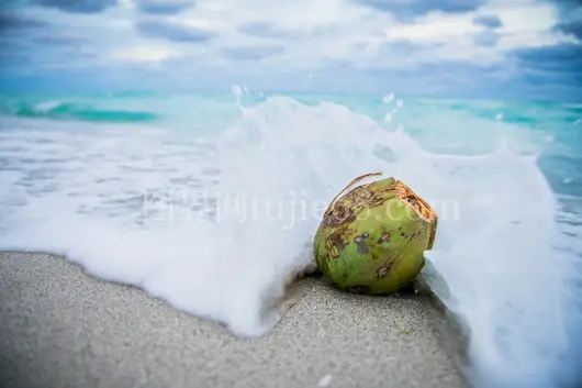椰子海滩波涛美照