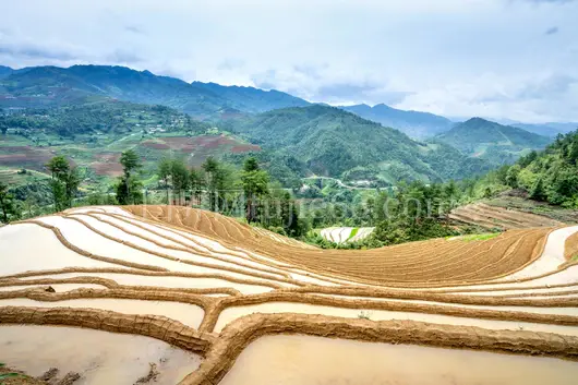 夏日稻田云中山峦美景