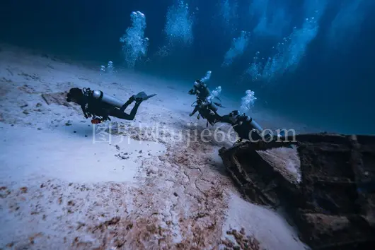 墨西哥沉船探秘 潜水员邂逅海洋生物