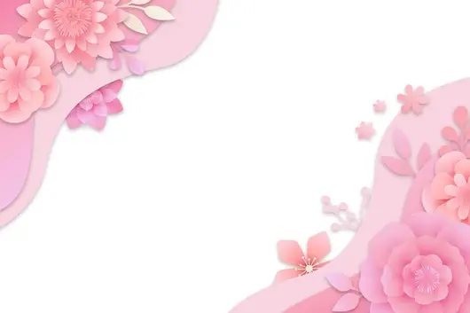 顶部视角粉色花朵排列布局美图