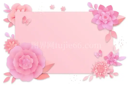 顶部视角粉色花朵排列美图