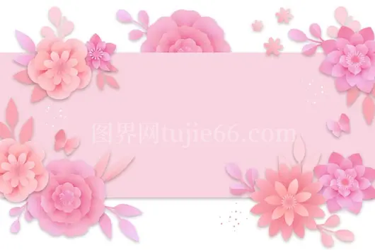 顶部视角粉色花朵排列组合