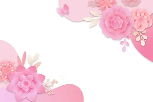 顶部视角粉色花朵排列美图