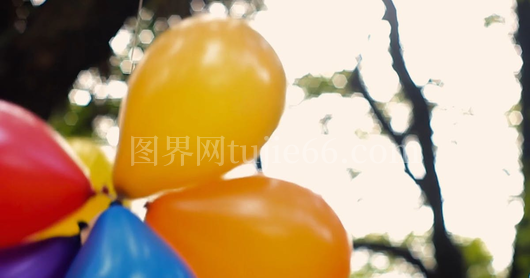 多彩气球汇聚视觉盛宴