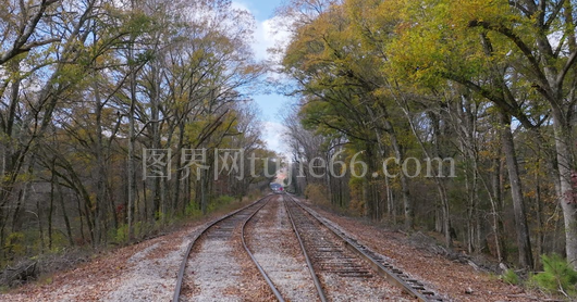 秋日森林铁路轨道宁静画卷