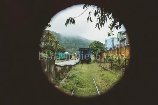 铁路旁绿树掩映宁静之旅