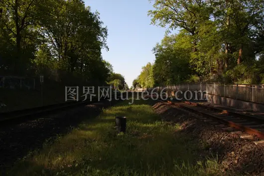 铁轨穿越郁郁葱葱森林