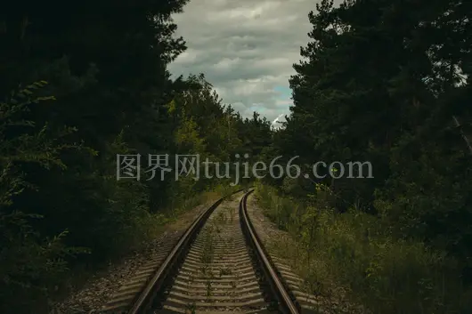 森林铁路云天静景