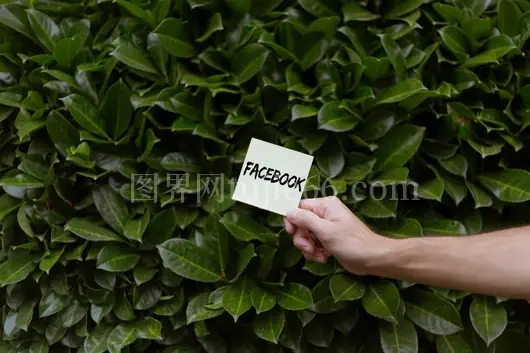 绿叶背景手持Facebook便条