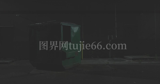夜探垃圾箱神秘场景