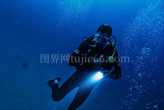 深海潜水员探秘海洋生物
