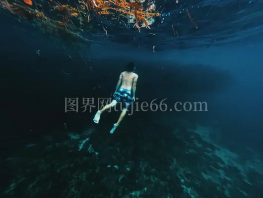 深海潜水员鱼群共舞探秘