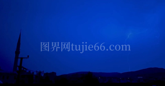 神秘生物现象探秘