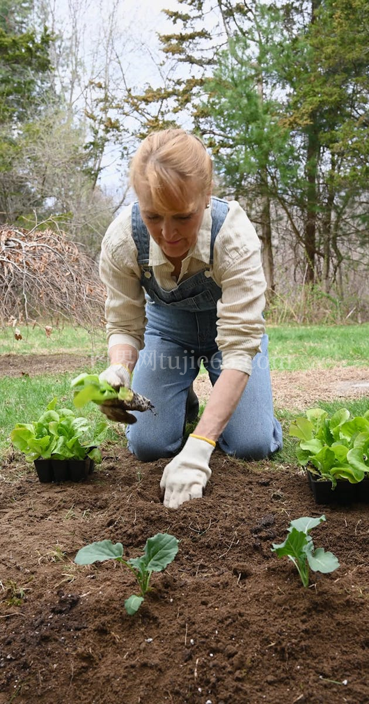 女性精心种植绿植瞬间