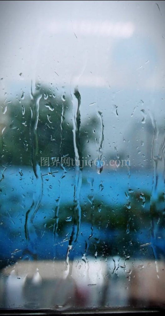 雨中自然景象